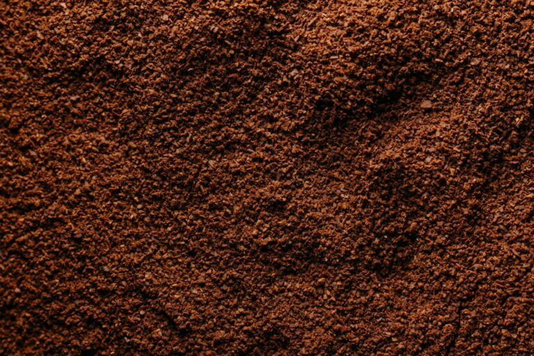 Creativitatea în bucătărie: Cum poți folosi zatul de cafea într-un mod inovator
