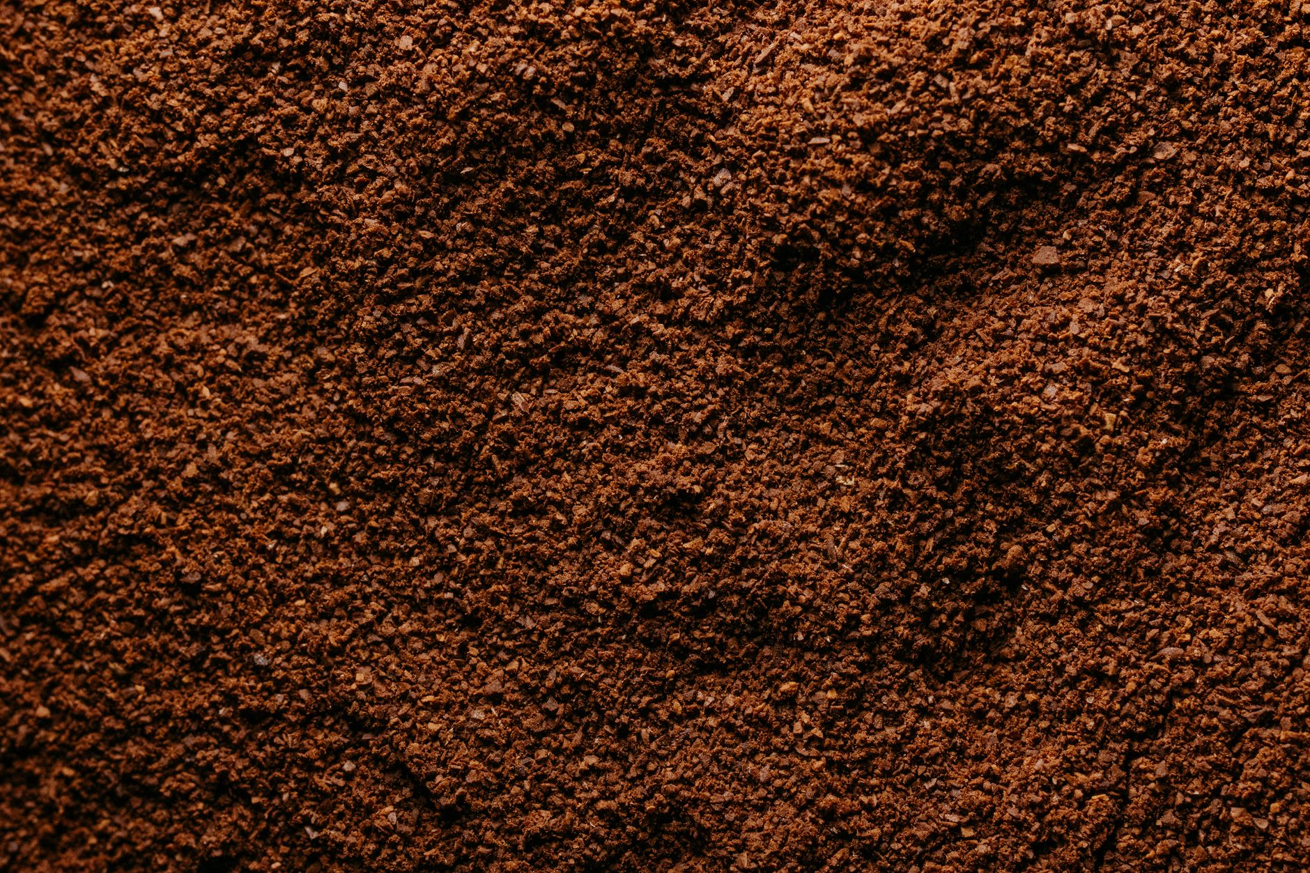 Creativitatea în bucătărie: Cum poți folosi zatul de cafea într-un mod inovator