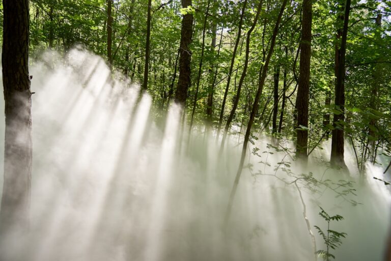 Photo Sensory experience