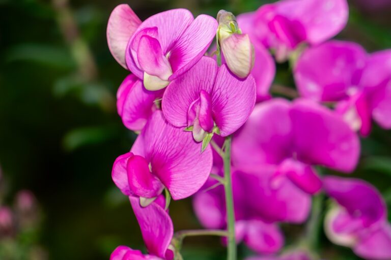 Photo Unexpected wealth