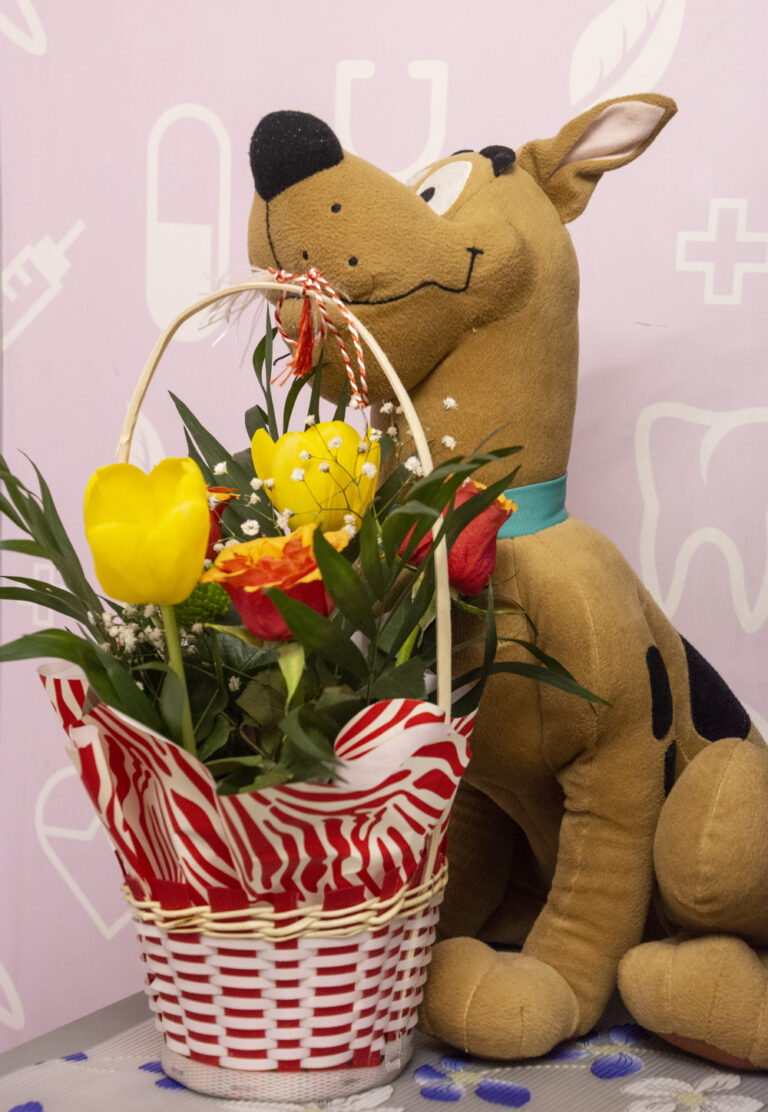 cris smile implant dentar (48)