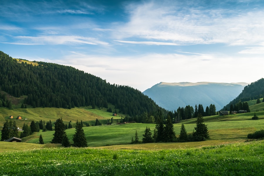 Photo attract positive energy