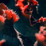 Photo health maintenance