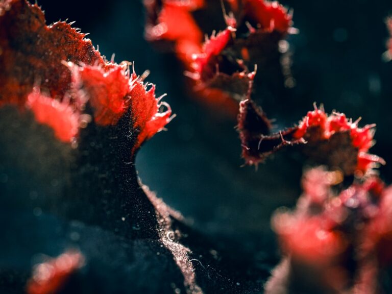 Photo health maintenance