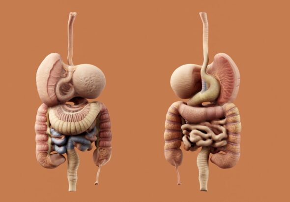 Photo digestive problems